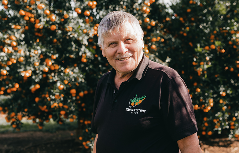 Harvey Citrus is a family run business that has been growing exceptional citrus in the Harvey area for over 40 years.