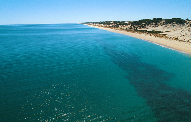 Myalup Beach