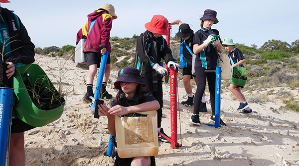 Dune Rehabilitation Project