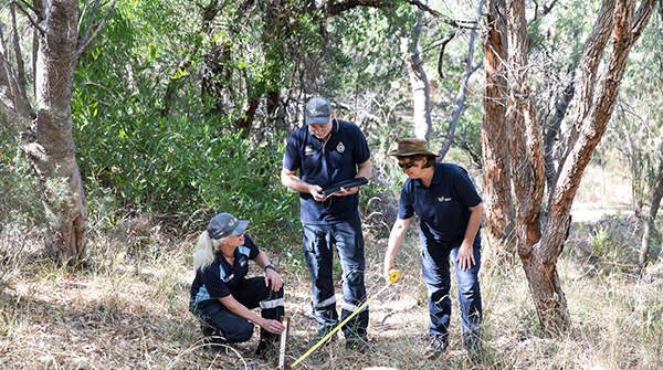 Bushfire Mitigation Works