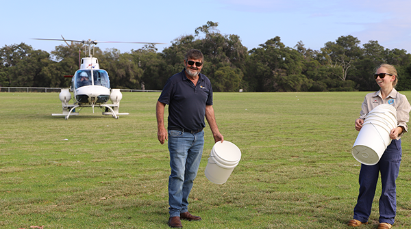 Mosquito Control Continues