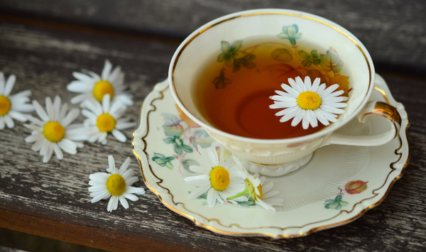 Forget Me Not Memory Cafe