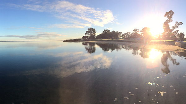 Have your say on foreshore future