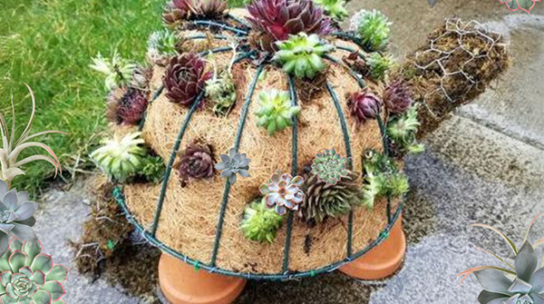 Turtle Garden Workshop