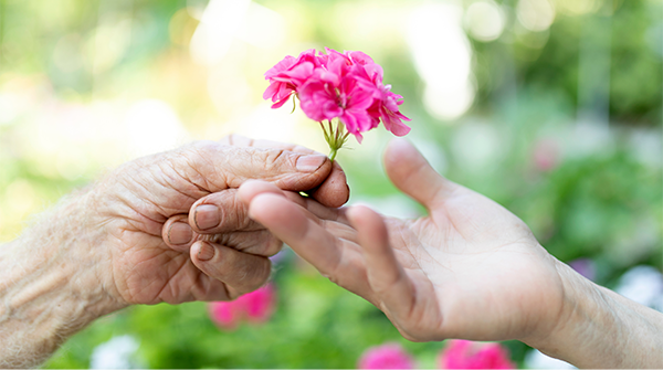 World Elder Abuse Awareness Day