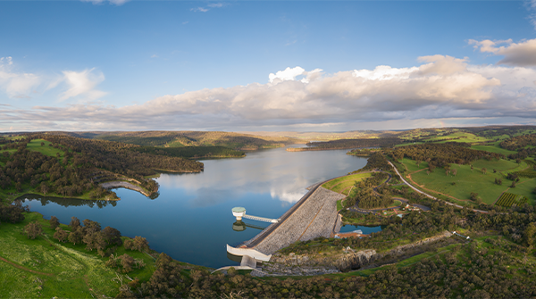 Harvey Dam Marron Season