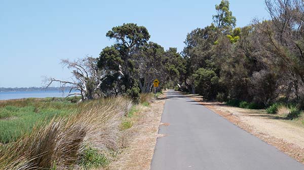 Cathedral Avenue Upgrade and Shared Path