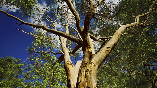 Tree Pruning Works