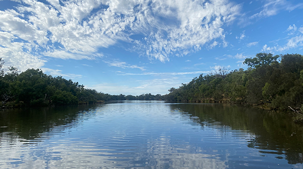 Fish Kill in Lower Collie River