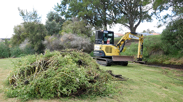 Clearing of Wetlands