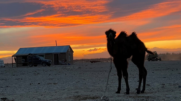 Travel Talk: Adventures in Outer Mongolia