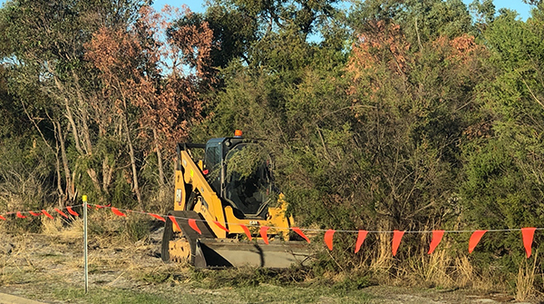 The Promenade Extension Update