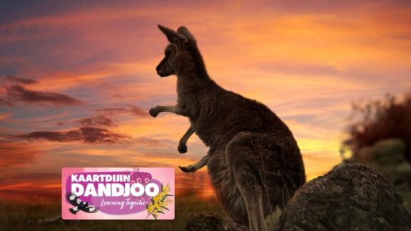 Kaartdijin Dandjoo – Animals and Storytelling
