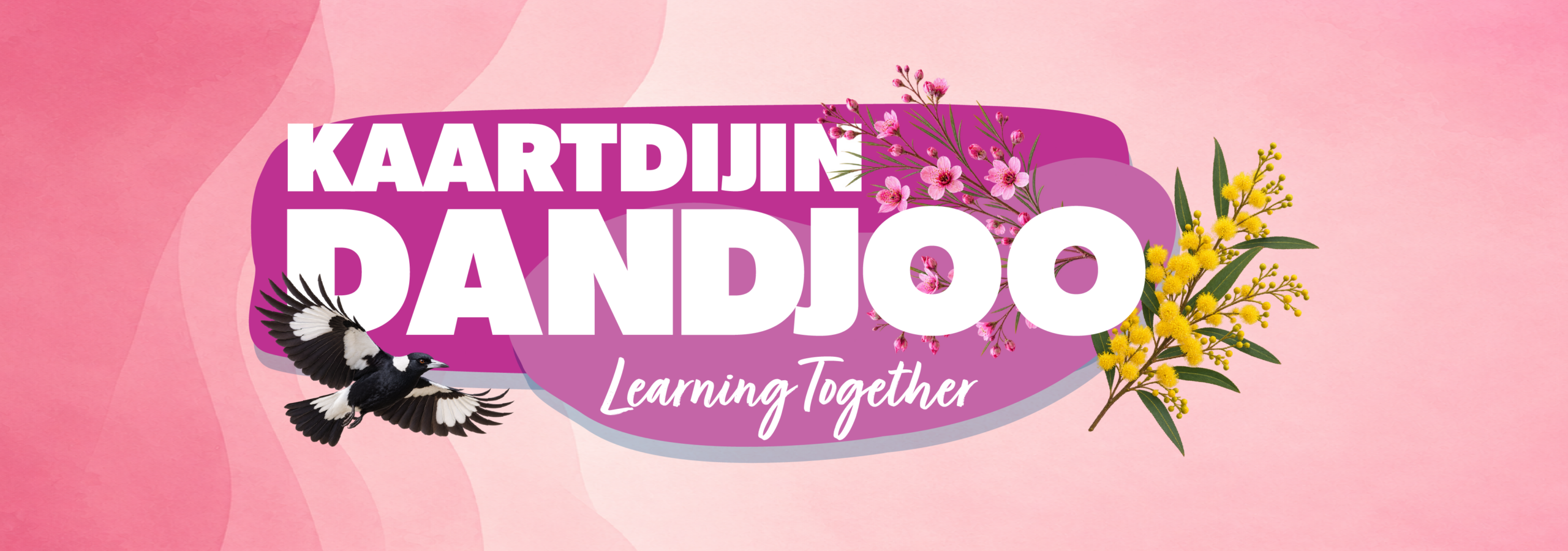 Kaartdijin Dandjoo Learning Experience
