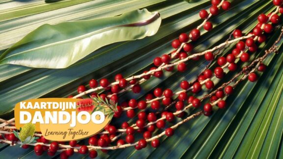Kaartdijin Dandjoo – Dek and Marlak Mereny (Plants and Bush Food)