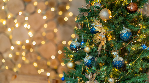 Christmas and New Year Opening Hours