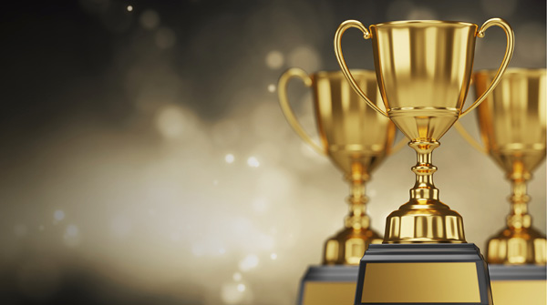 Autumn 2024 Adult Sports Grand Finals