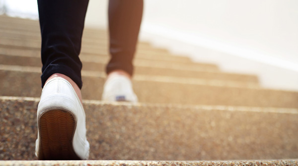 January to March 2024 Walking Group Dates