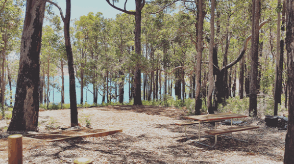 Logue Brook Dam Upgrade