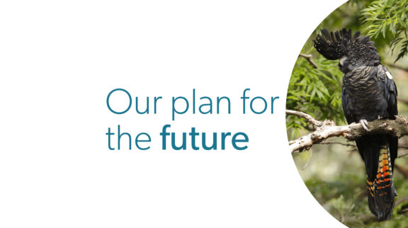 Draft council plan open for public comment