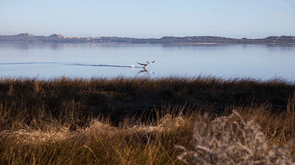 Re-endorsed as Waterwise Council