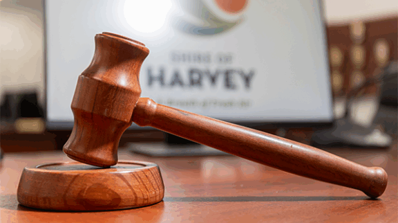 CEO Performance Committee