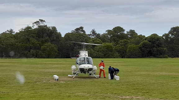 Mosquito Control Update