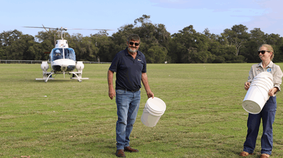 Mosquito Control Continues