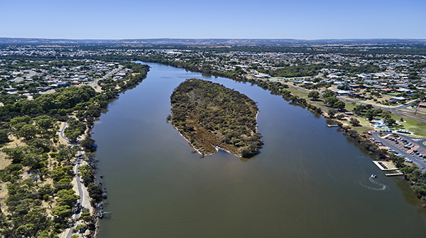 Community Engagement