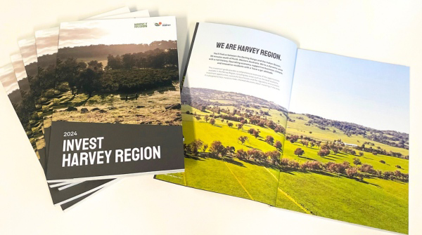 Documents and Strategies