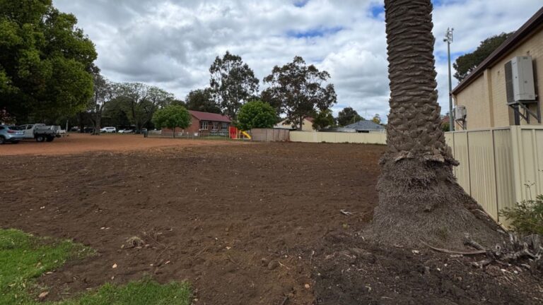 Harvey Library Expansion Project