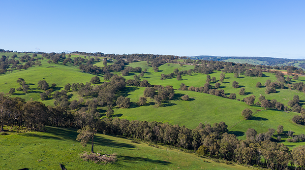 About the Shire and Maps