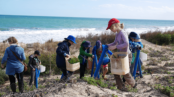 Environment and Sustainability