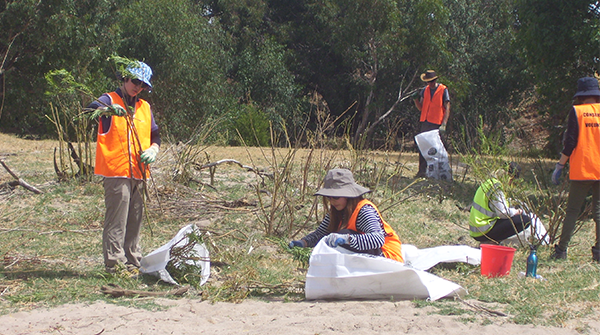 Environmental Policy and Management