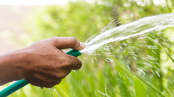 Sustainable Landscaping Tips