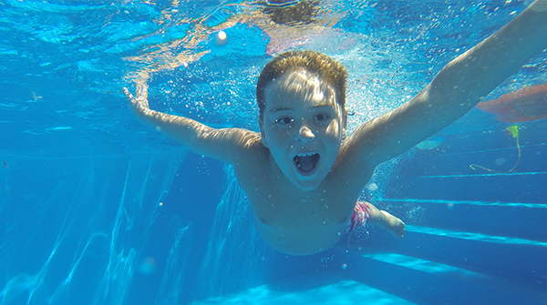 Swimming Pools Spas and Safety Barriers