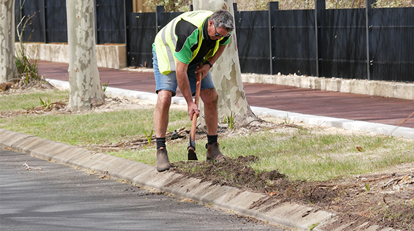 Crossovers, Verges and Street Trees
