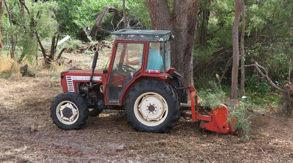 Bushfire Mitigation and Emergency Management