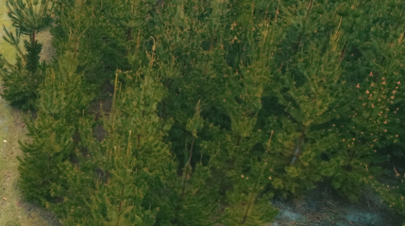 Myalup Primary Industry Reserve Project Update