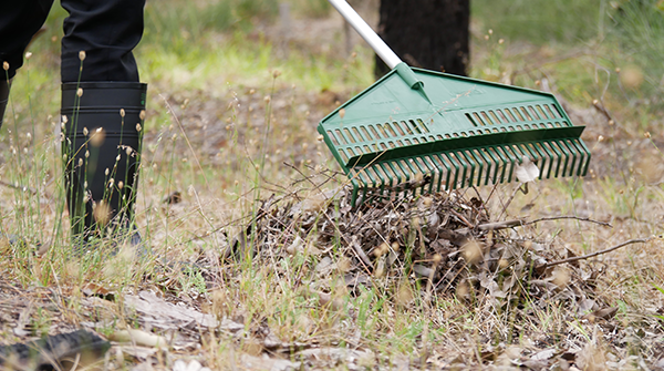 Prepare for a Bushfire