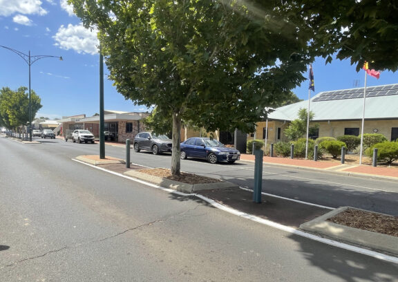 London Plane trees on Uduc Road