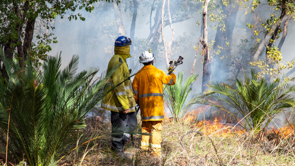 Planned Burning Activities in the Shire