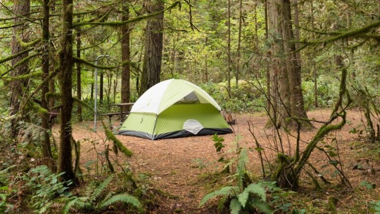 Accommodation (nature-based parks)