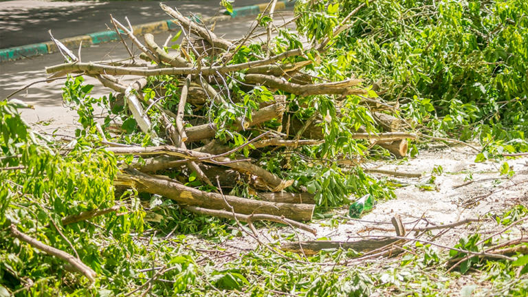 Green Waste Disposal